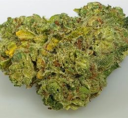 Buy Rose Gold Kush Strain OR