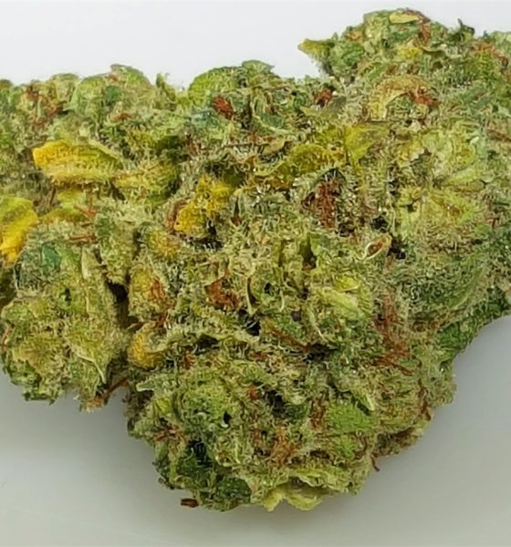 Buy Rose Gold Kush Strain OR