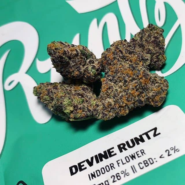 Devine Runtz Strain For Sale In Oregon