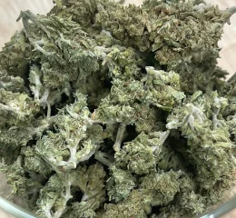 Buy Chronic Guru Kush in Oregon