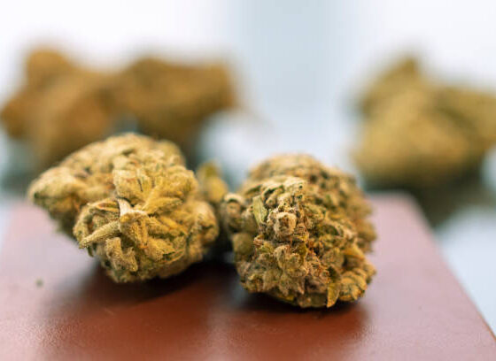 cherry runtz marijuana Dublin