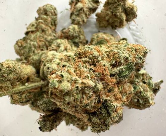 Cookies Cannabis Strain Dublin