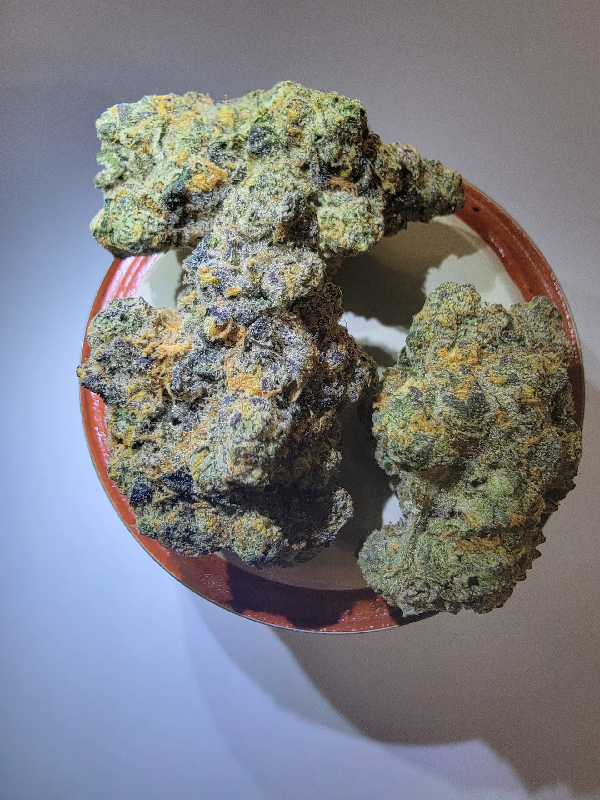 Gary Payton Kush where to buy in Oregon