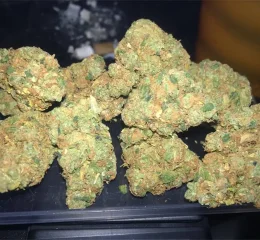 Where To Purchase Amnesia Haze Strain For Sale Oregon