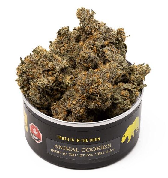 Buy Animal Cookies Strain Wexford