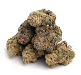 Blackberry Kush Strain Cork