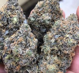 Candyland Strain In Oregon