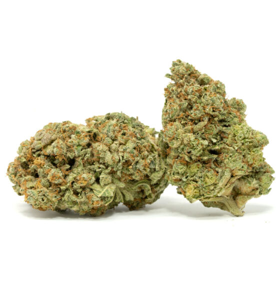 Super Lemon Haze Strain Shannon