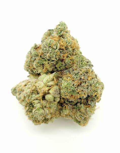 Super Lemon Haze Strain Shannon