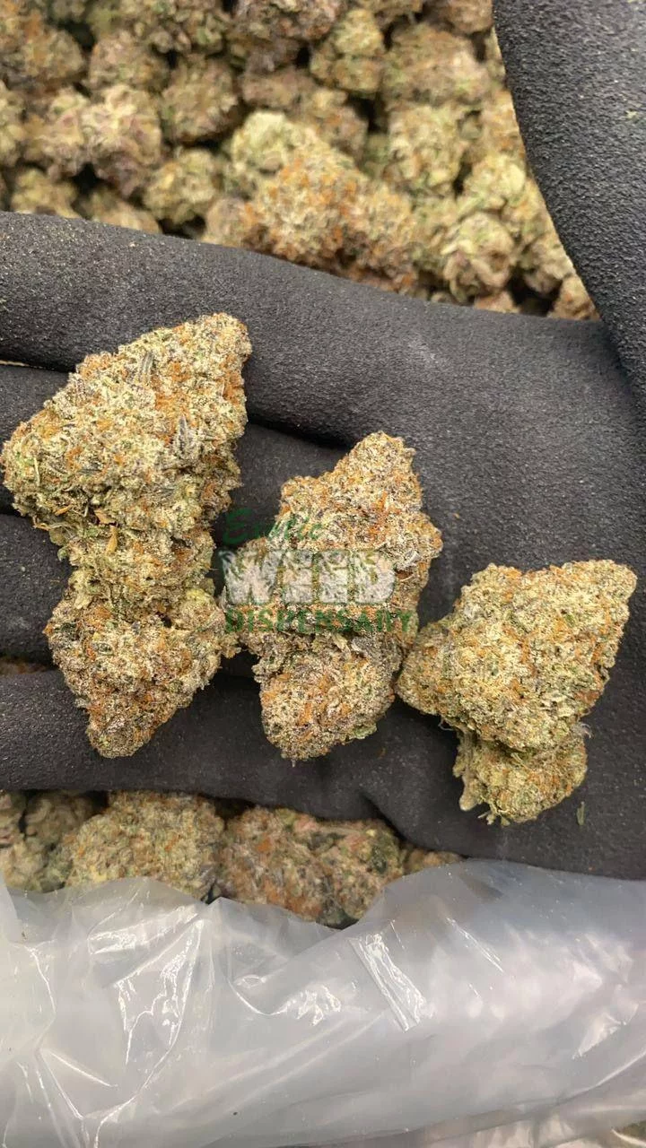 Where To Buy Bubba Kush Online In Oregon