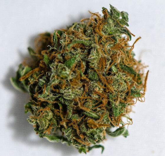Blue Diesel Strain Clonmel