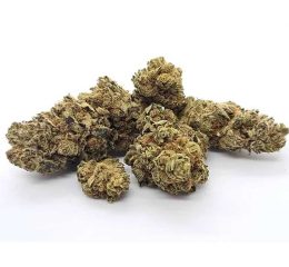 Buy Critical Kush Online In Oregon