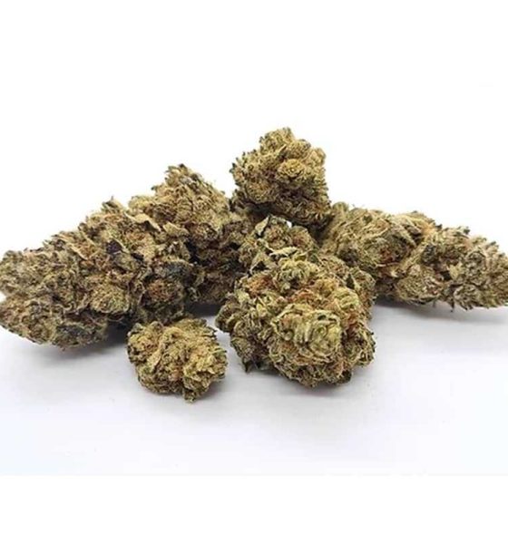 Buy Critical Kush Online In Oregon