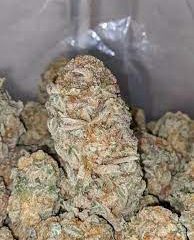 Buy Master Kush Strain Near Me In Oregon