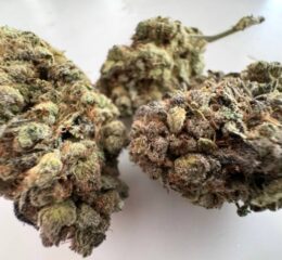 Afghan Kush Seed Kilkenny