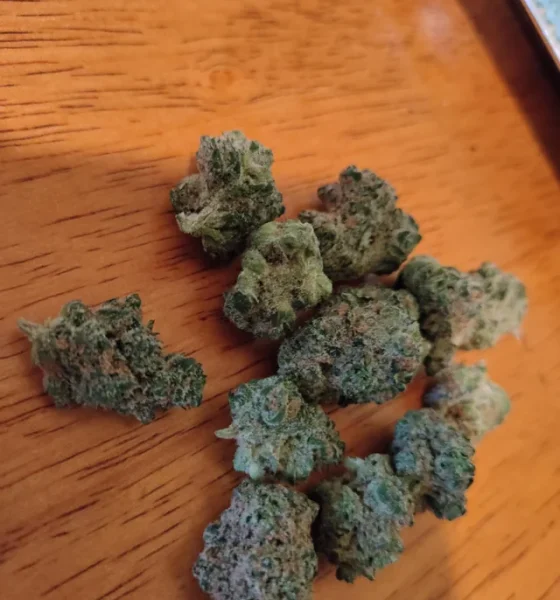 Where To Buy Blue Cheese Kush Strain Online In Oregon