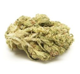 Where To Buy Berry White Strain Online In Oregon