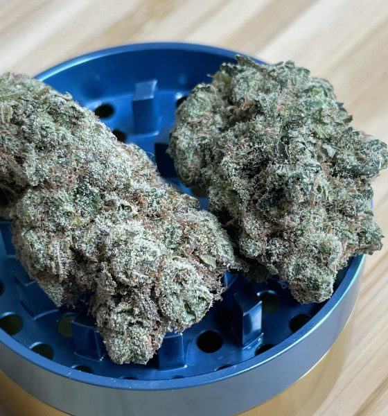 Where To Buy Blue Diesel Strain Online In Oregon