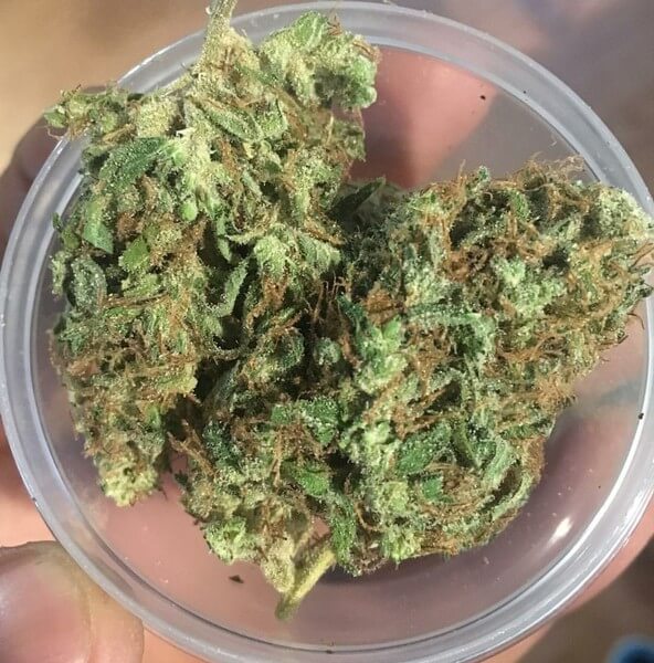 Buy Rockstar Marijuana Online