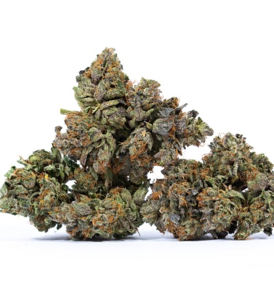 Buy Raspberry Cough Strain Arklow
