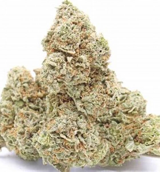 Rockstar Marijuana Strain - Image 2
