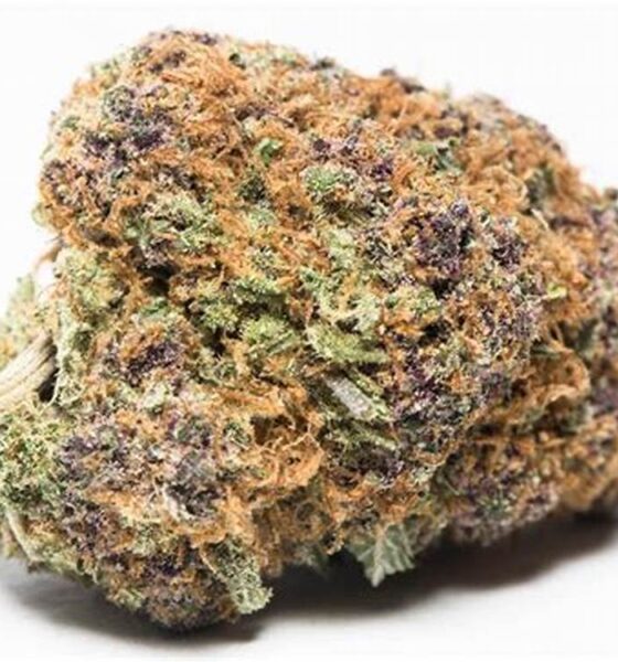  Purple Kush Near Me Navan