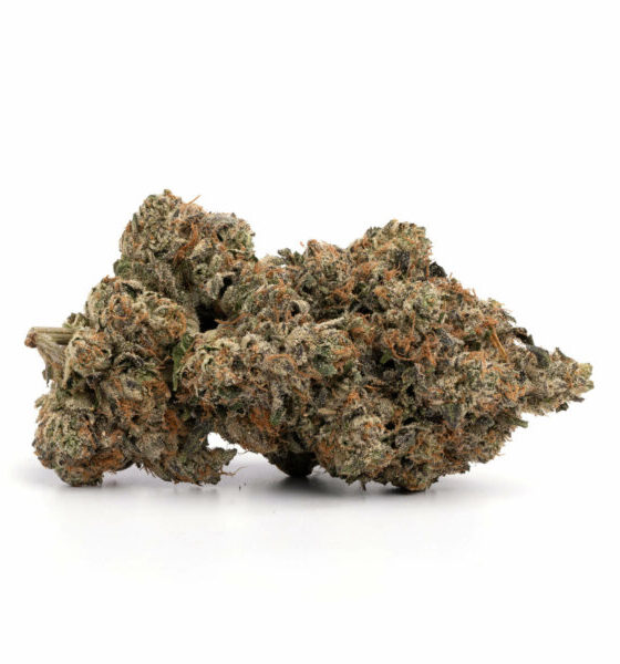 Buy Purple Martian Kush Mullingar