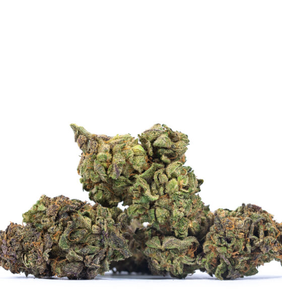 Buy Raspberry Cough Strain Arklow