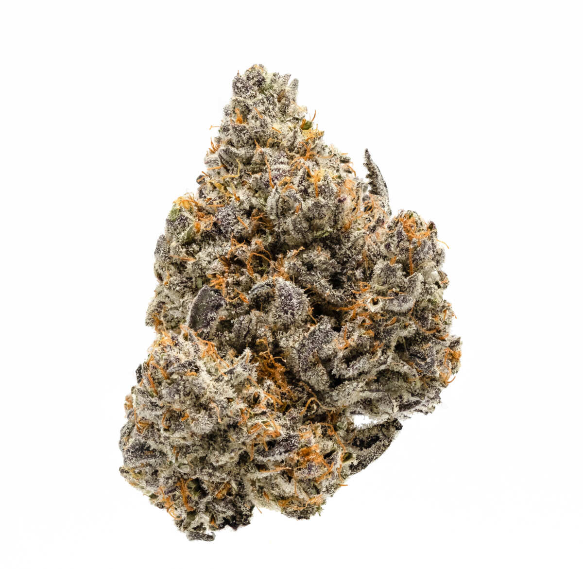 white buffalo strain for sale