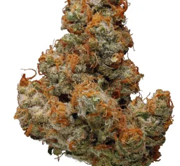 White Cookies Marijuana Online