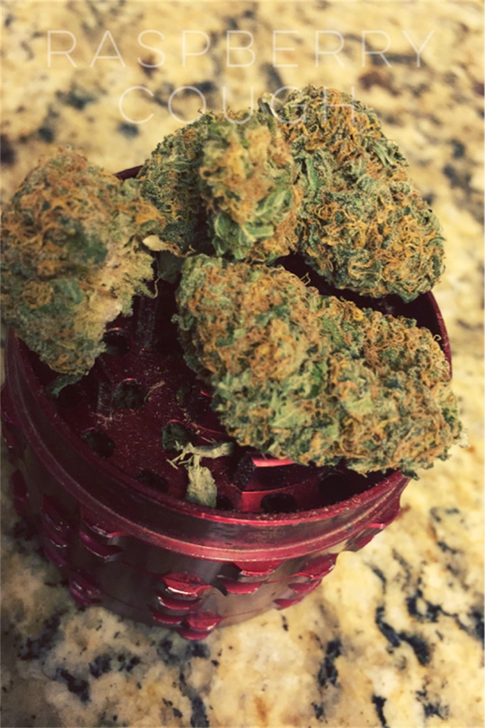 Buy Raspberry Cough Marijuana Strain OR