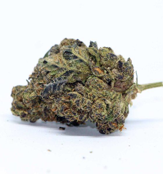 Buy Rockstar Marijuana Online