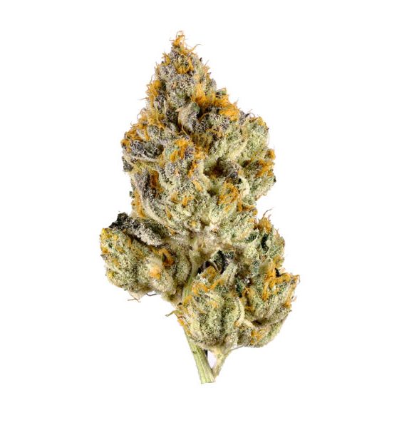 White Cookies Marijuana Online