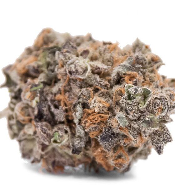 Blackberry Dream - Image 2