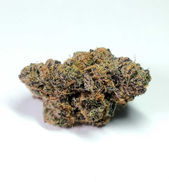 Purple gobbstopper strain Oregon