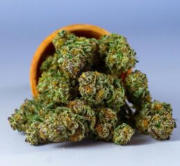 Gnarberry Cannabis store in dublin