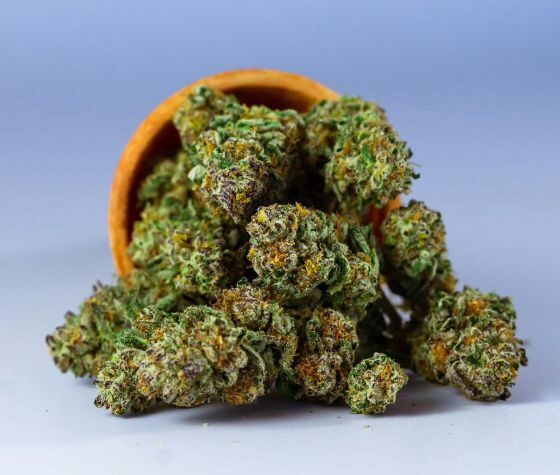 Gnarberry Cannabis store in dublin