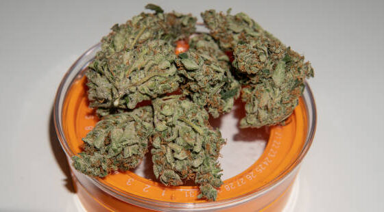 Gnarberry Cannabis store in dublin