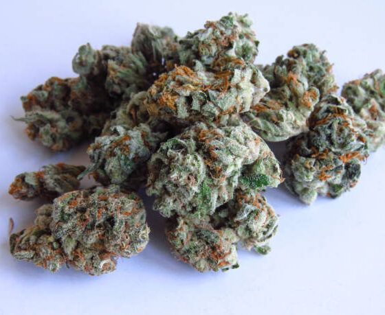 Gnarberry Cannabis store in dublin