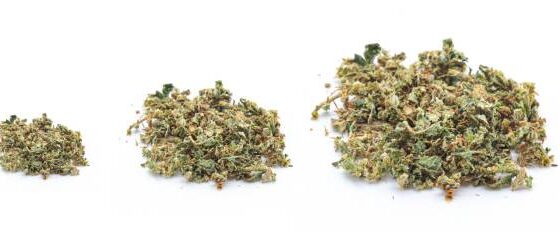 Funk Master cannabis Ireland