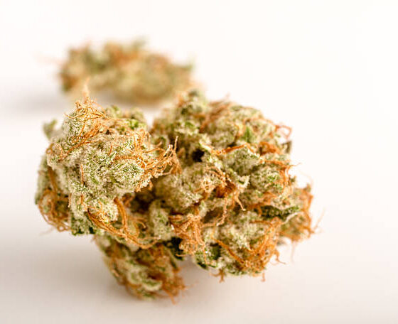 Gnarberry Cannabis store in dublin