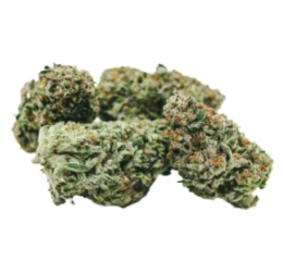 Dutch Treat Strain Ireland