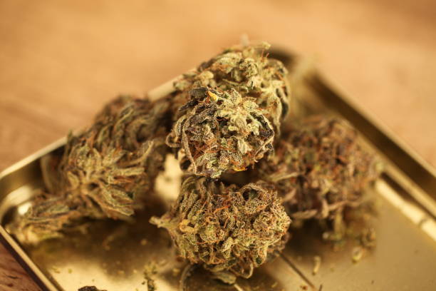 Critical Mass In France