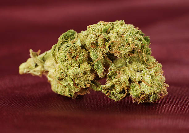 Critical Mass In France