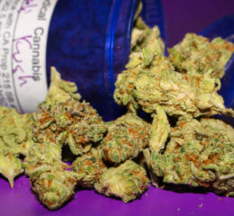 Critical Mass In France