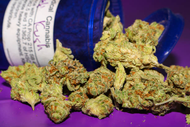 Critical Mass In France